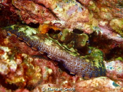 This shot was taken in the Channel Islands off the coast ... by Elannah Smith 
